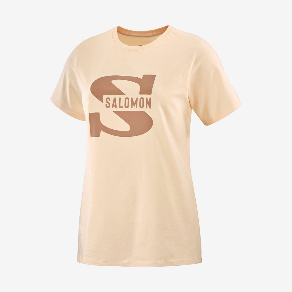 Dámské Tričko Salomon OUTLIFE BIG LOGO Krátké Sleeve Béžový | NLF-781304