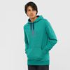 Pánské Mezivrstvy Salomon SHIFT HOODIE M Zelene | FDU-209837