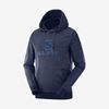 Pánské Mezivrstvy Salomon SHIFT HOODIE M Zelene | FDU-209837