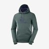 Pánské Mezivrstvy Salomon SHIFT HOODIE M Zelene | QKT-538421