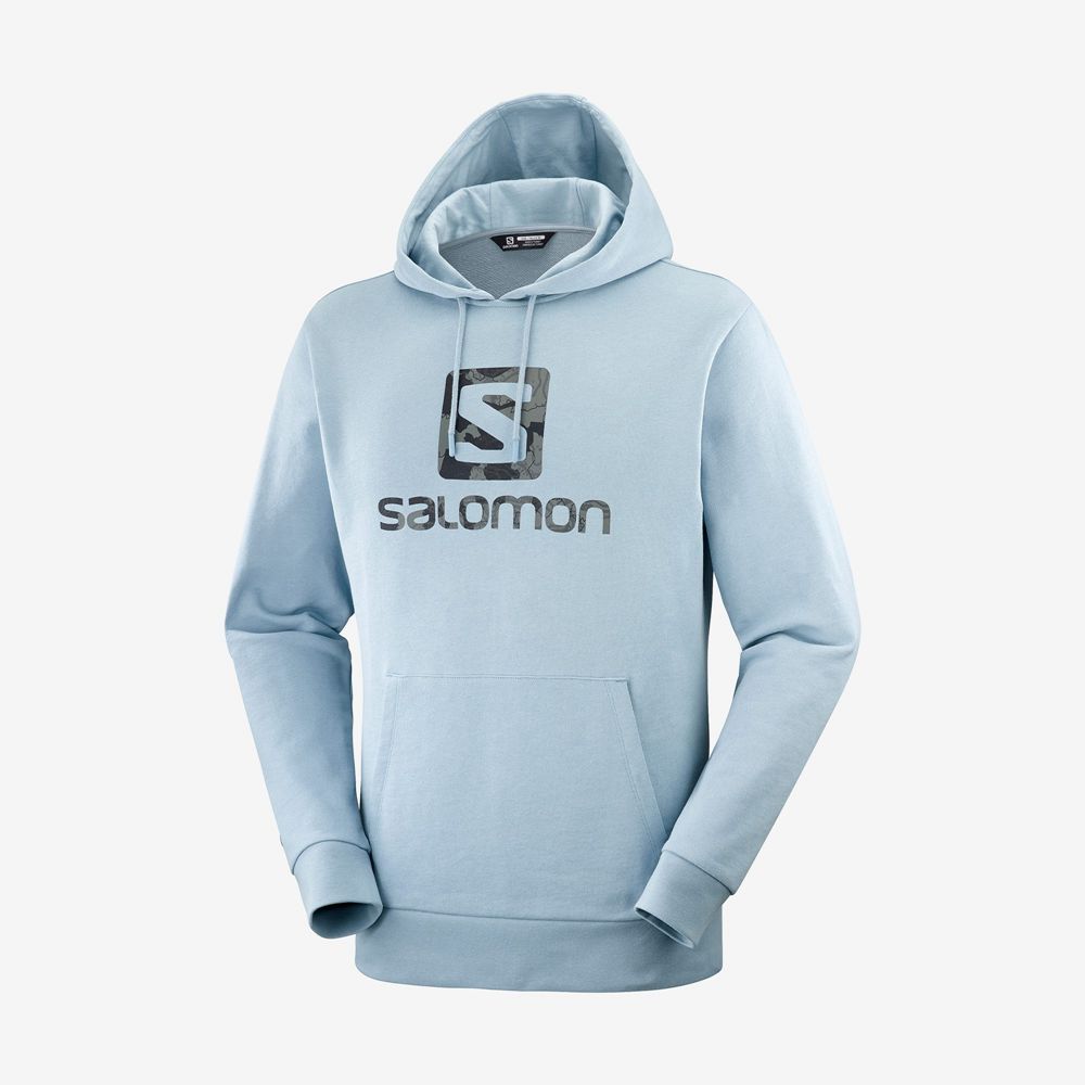 Pánské Mikiny S Kapucí Salomon OUTLIFE LOGO SUMMER Sportswear Blankyt | LVB-583764