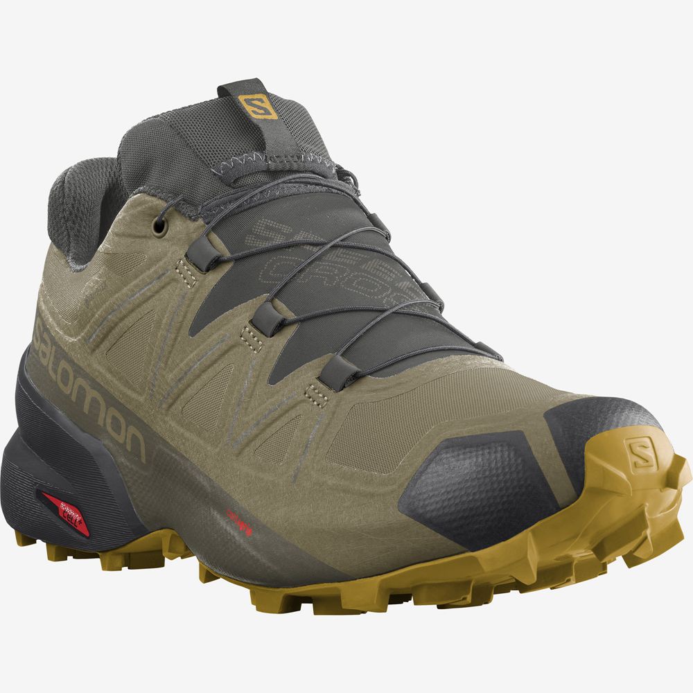 Pánské Trailové Běžecké Boty Salomon SPEEDCROSS 5 GORE-TEX Hnědé | AJF-864907