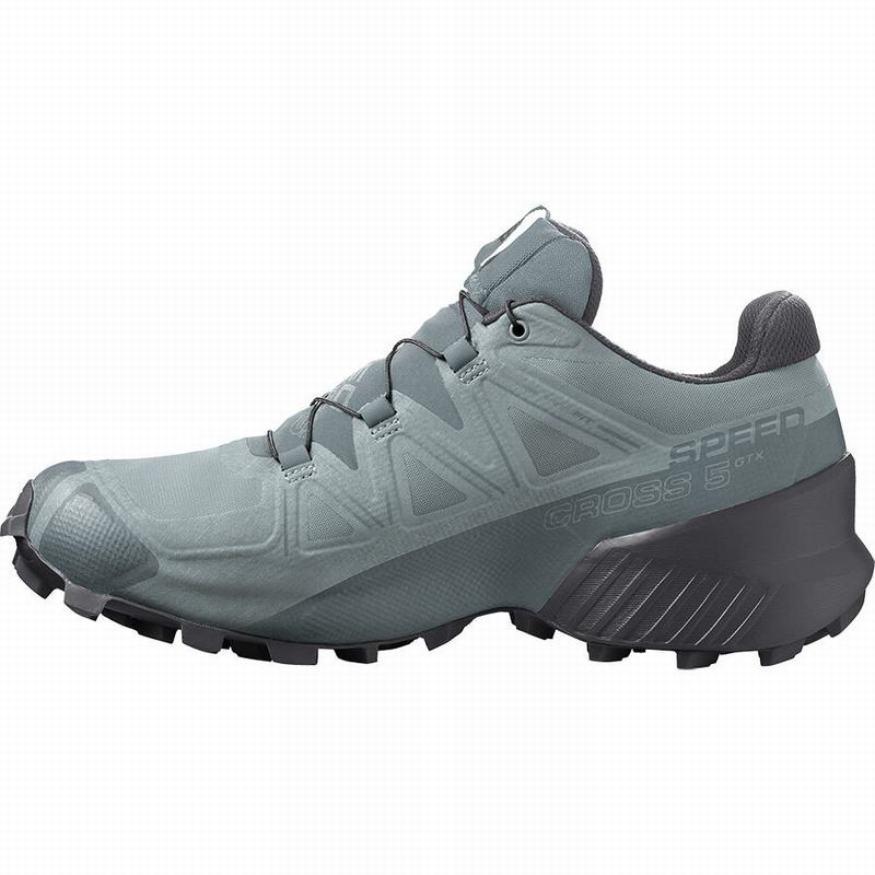 Pánské Trailové Běžecké Boty Salomon SPEEDCROSS 5 GORE-TEX Zelene | EQP-356178