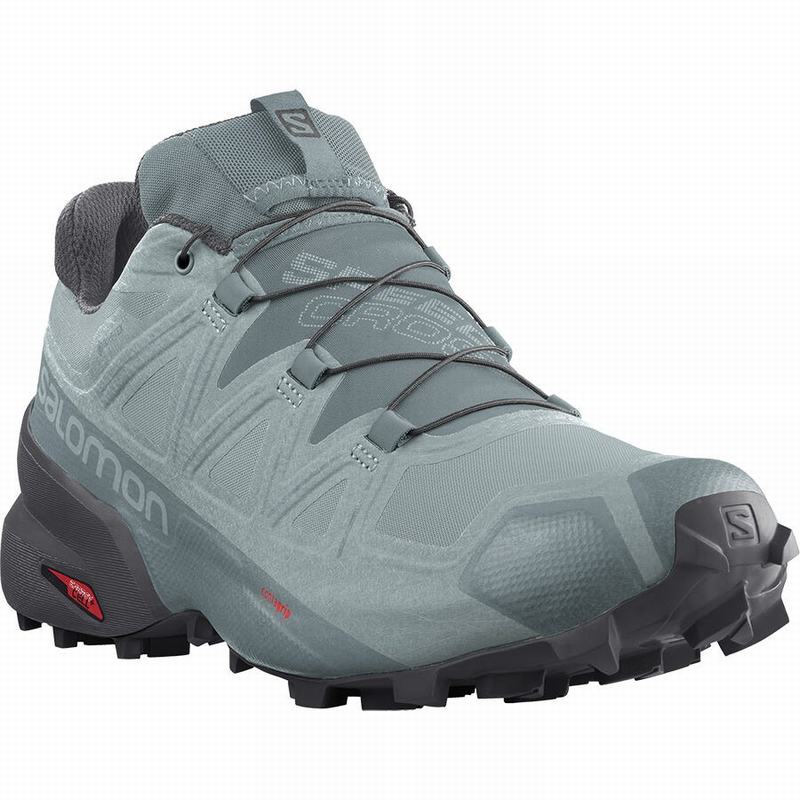 Pánské Trailové Běžecké Boty Salomon SPEEDCROSS 5 GORE-TEX Zelene | EQP-356178