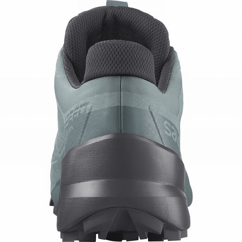 Pánské Trailové Běžecké Boty Salomon SPEEDCROSS 5 GORE-TEX Zelene | EQP-356178