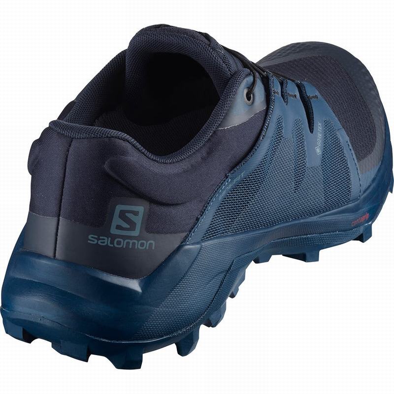 Pánské Trailové Běžecké Boty Salomon WILDCROSS GTX Tmavě Blankyt | UBY-802543