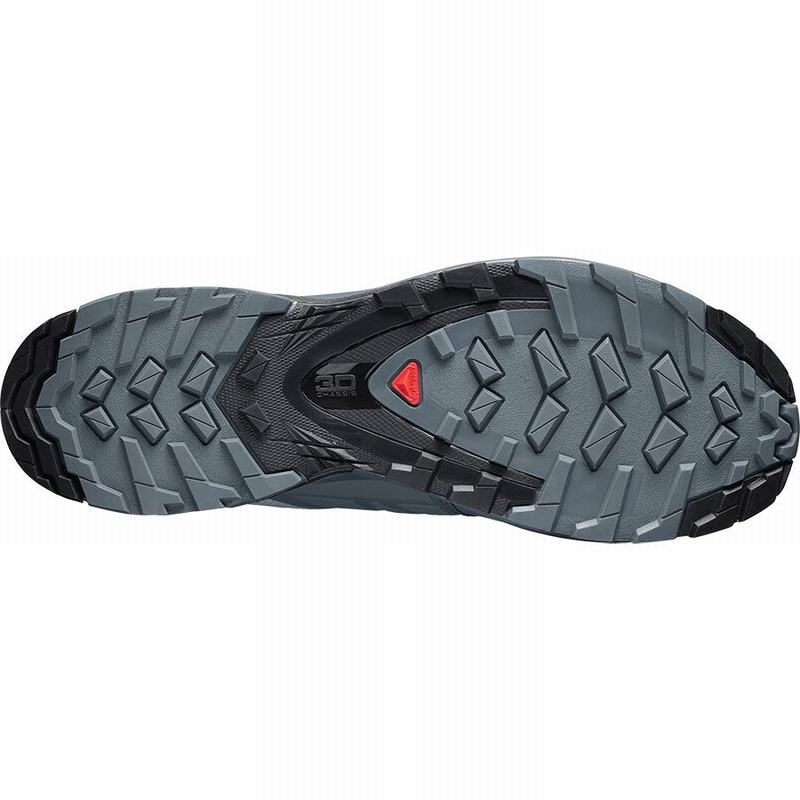 Pánské Trailové Běžecké Boty Salomon XA WILD GORE-TEX Šedé | NGS-089354