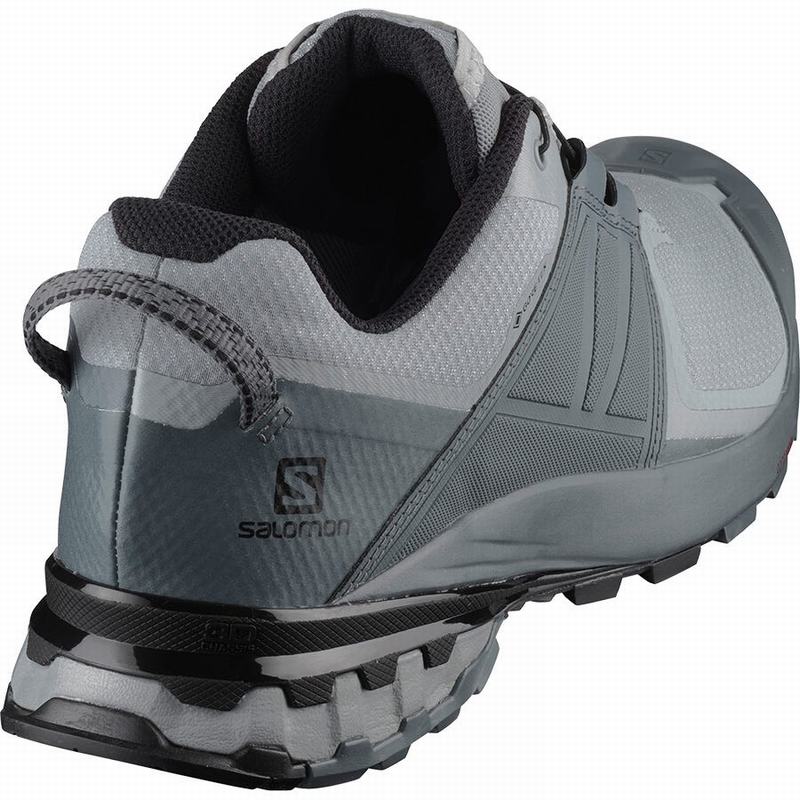 Pánské Trailové Běžecké Boty Salomon XA WILD GORE-TEX Šedé | NGS-089354