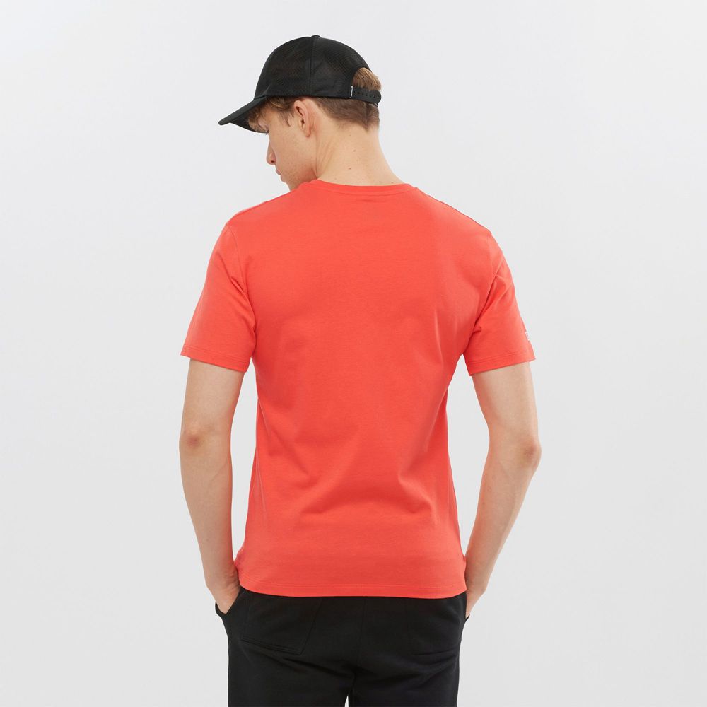 Pánské Tričko Salomon OUTLIFE GRAPHIC DISRUPTED LOGO SS M Krátké Sleeve Oranžové | YGT-563097