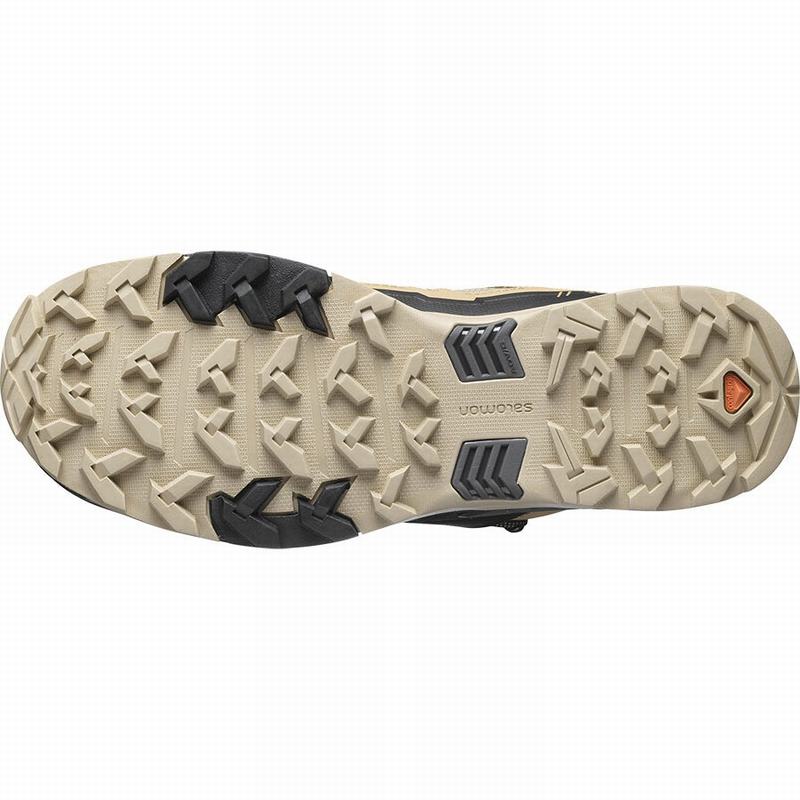 Pánské Turistické Boty Salomon X ULTRA 4 MID GORE-TEX Hnědé Černé | YWR-678932