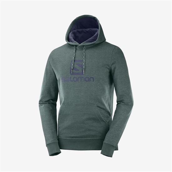 Pánské Mezivrstvy Salomon SHIFT HOODIE M Zelene | FDU-209837