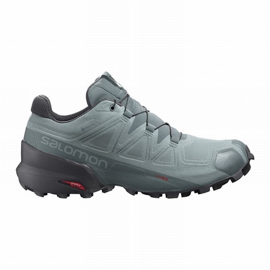 Pánské Trailové Běžecké Boty Salomon SPEEDCROSS 5 GORE-TEX Zelene | EQP-356178